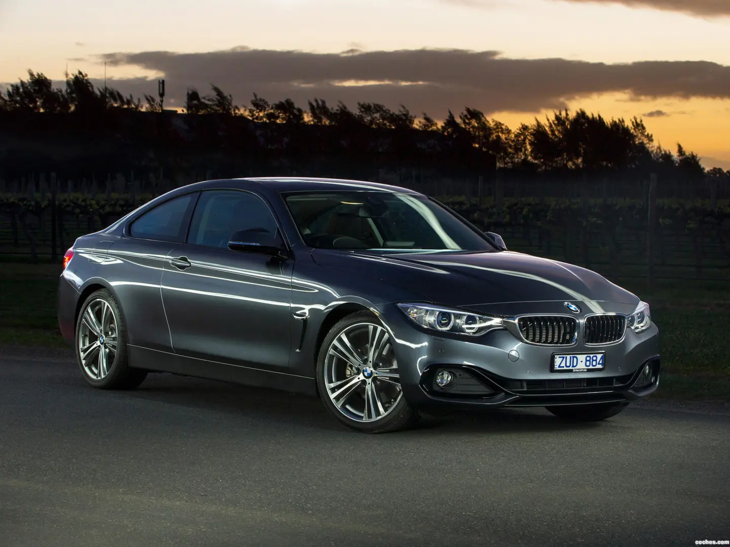 BMW 4 Serisi 4 Serisi 428i xDrive Luxury Line 7