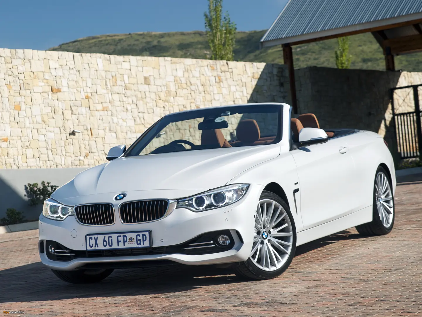BMW 4 Serisi 4 Serisi 428i Vision 1