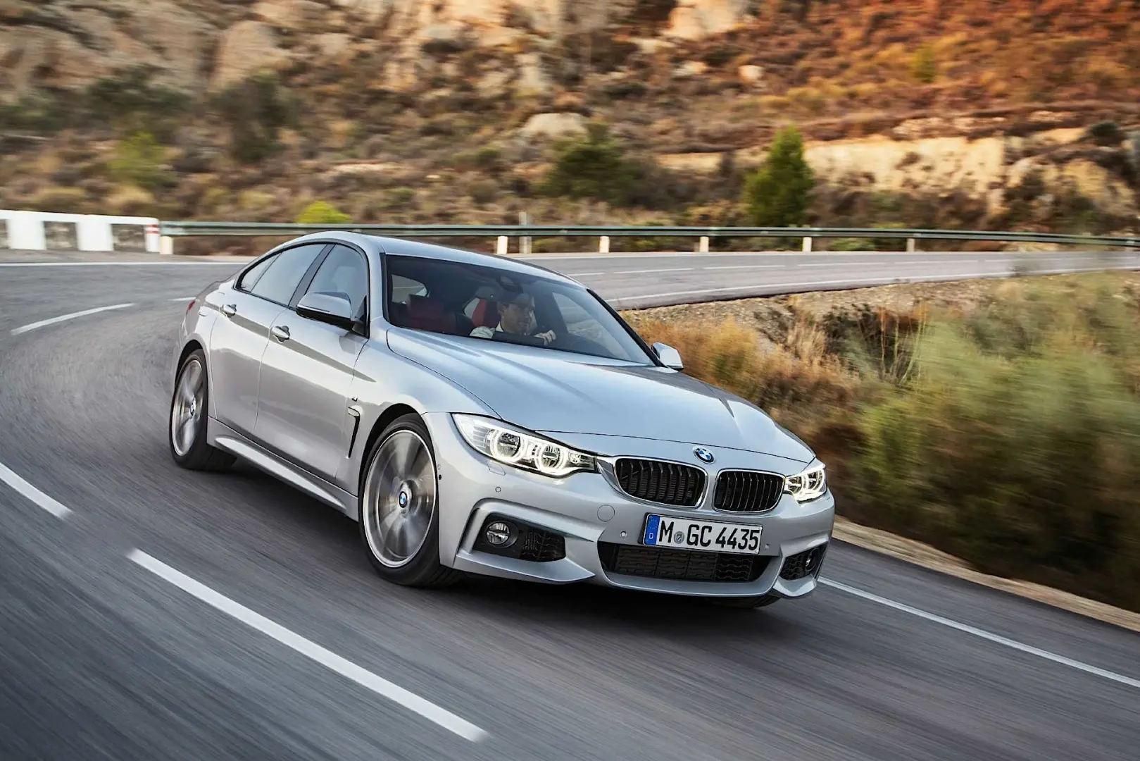 BMW 4 Serisi 4 Serisi Gran Coupe 418i Pure 3