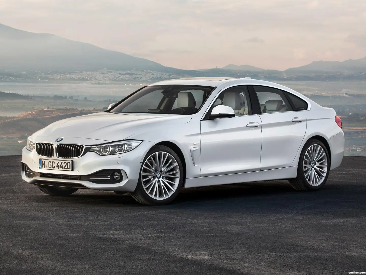 BMW 4 Serisi 4 Serisi 420d Luxury Line 4