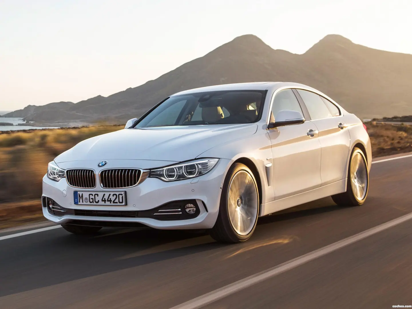 BMW 4 Serisi 4 Serisi Gran Coupe 420d Standart 3
