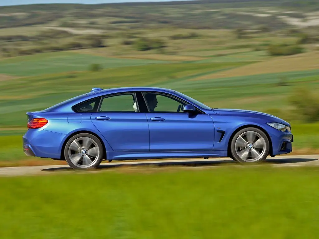 BMW 4 Serisi 4 Serisi Gran Coupe 428i Vision 0