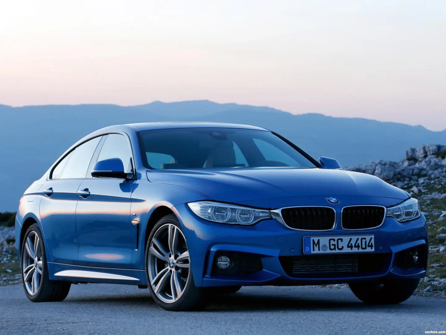 BMW 4 Serisi 4 Serisi 428i Vision 0