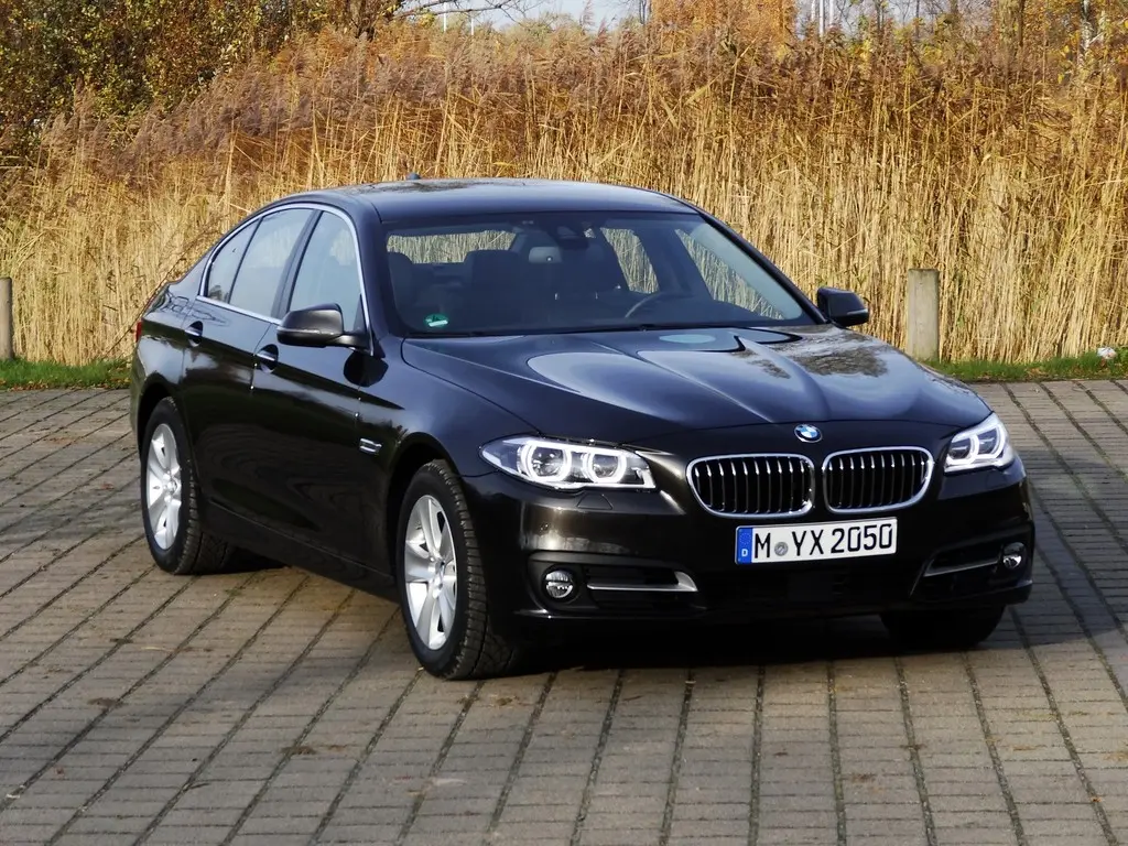 BMW 5 Serisi 5 Serisi 520d Executive Plus 3