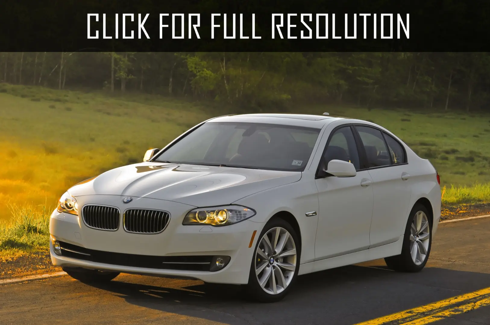 BMW 5 Serisi 5 Serisi 520i Executive 4