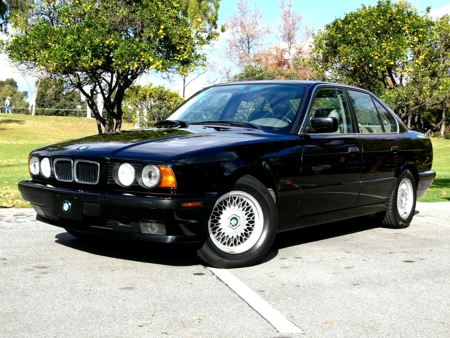 BMW 5 Serisi 5 Serisi 520i Standart 0