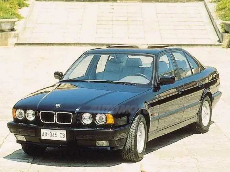 BMW 5 Serisi 5 Serisi Touring 525td Standart 2