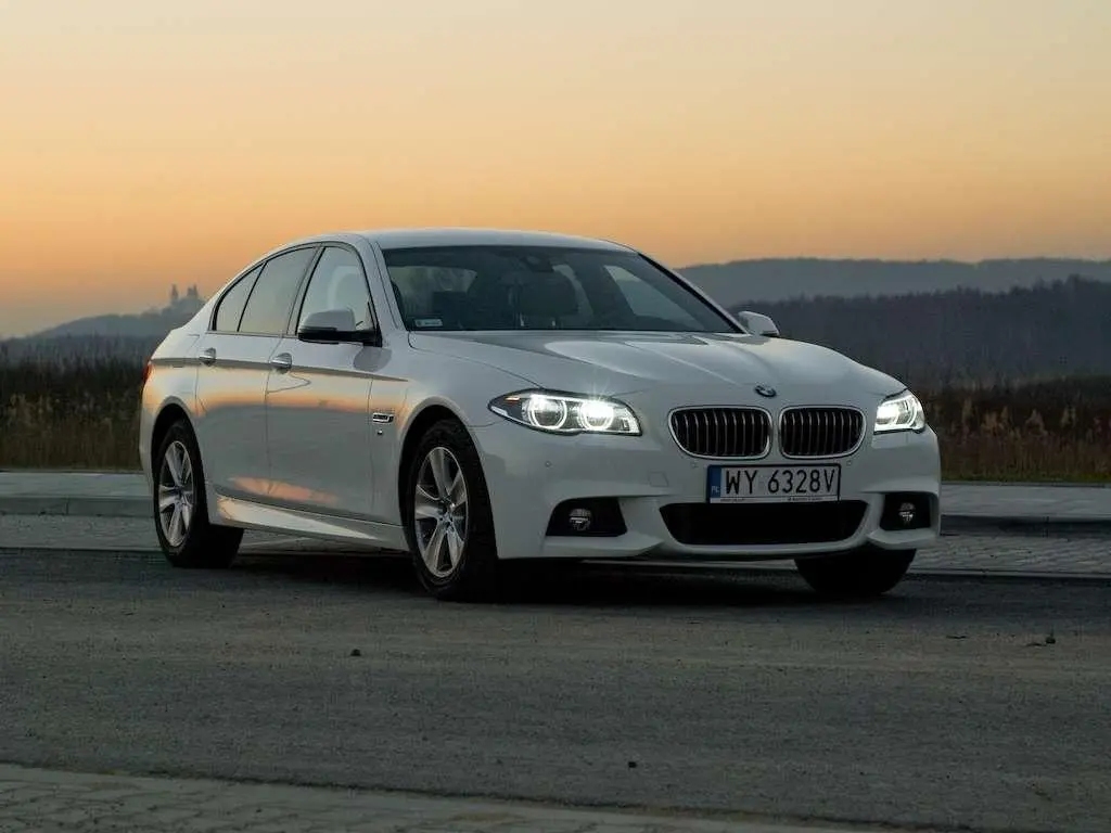 BMW 5 Serisi 5 Serisi 535d xDrive Luxury Line 6