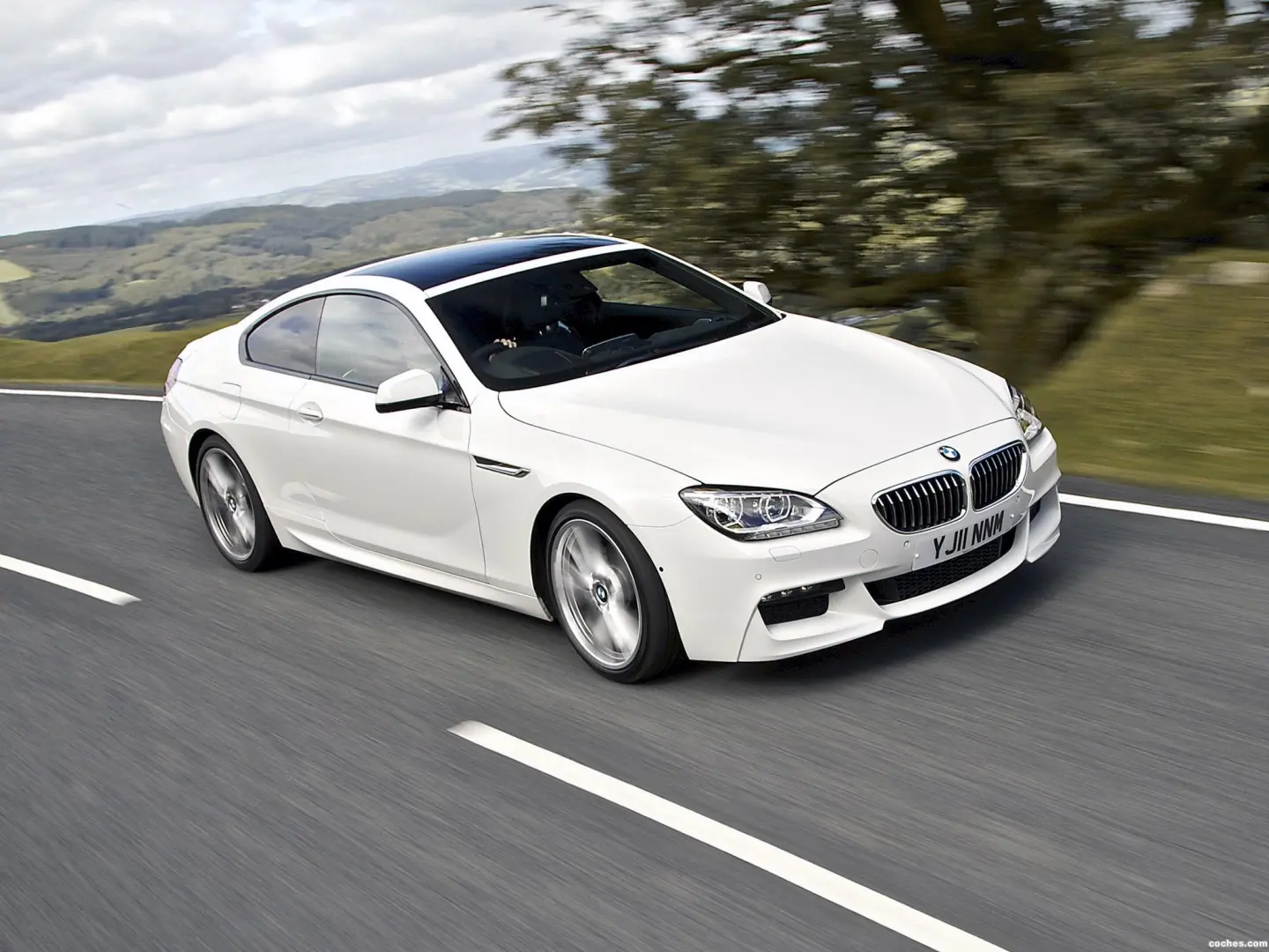 BMW 6 Serisi 6 Serisi 640d Dynamic 5