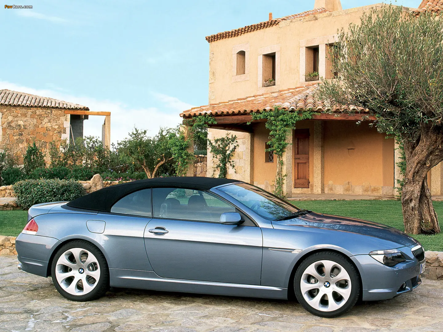 BMW 6 Serisi 6 Serisi 645Ci Standart 3