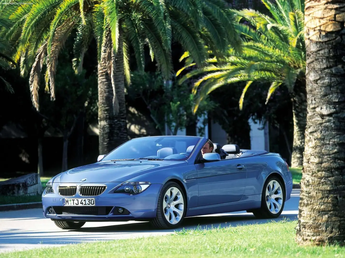BMW 6 Serisi 6 Serisi 645Ci Standart 5