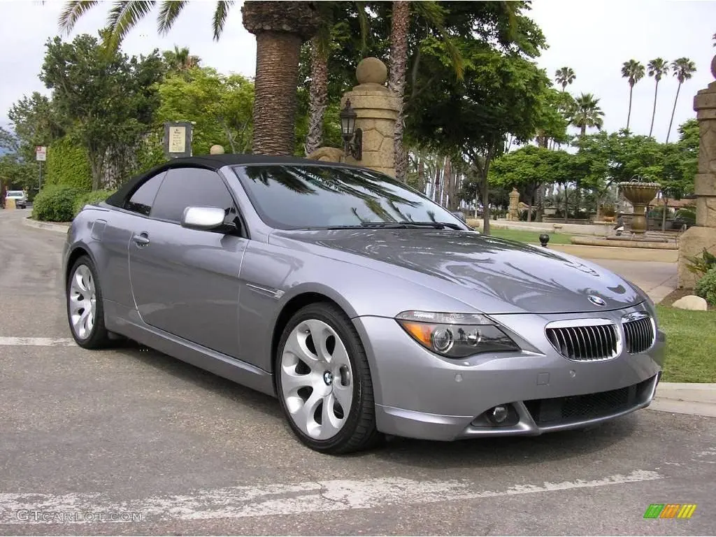 BMW 6 Serisi 6 Serisi 650Ci Standart 5