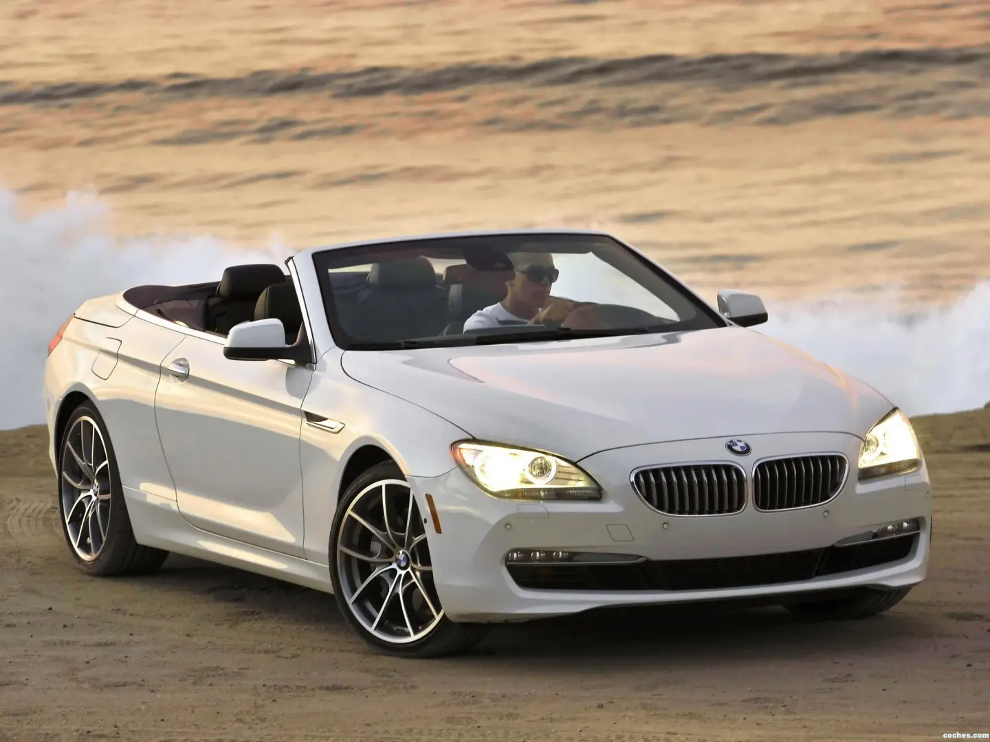 BMW 6 Serisi 6 Serisi 650i Dynamic 5