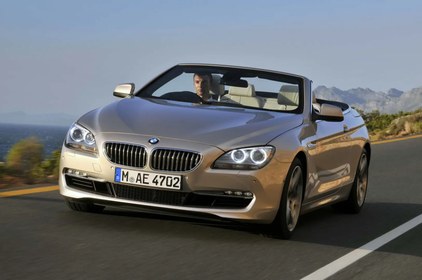 BMW 6 Serisi 6 Serisi 650i Standart 2