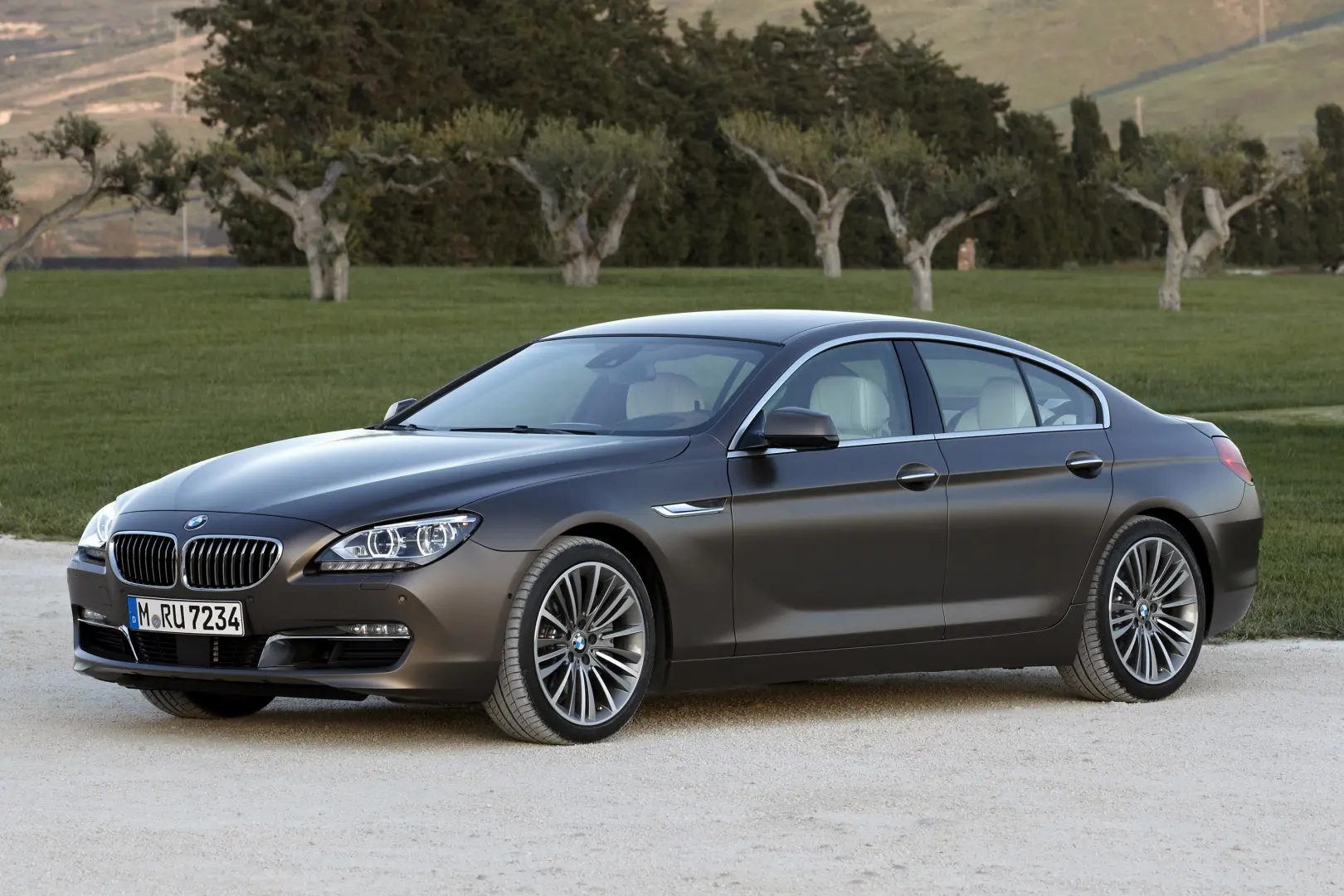 BMW 6 Serisi 6 Serisi Gran Coupe 640d Standart 2