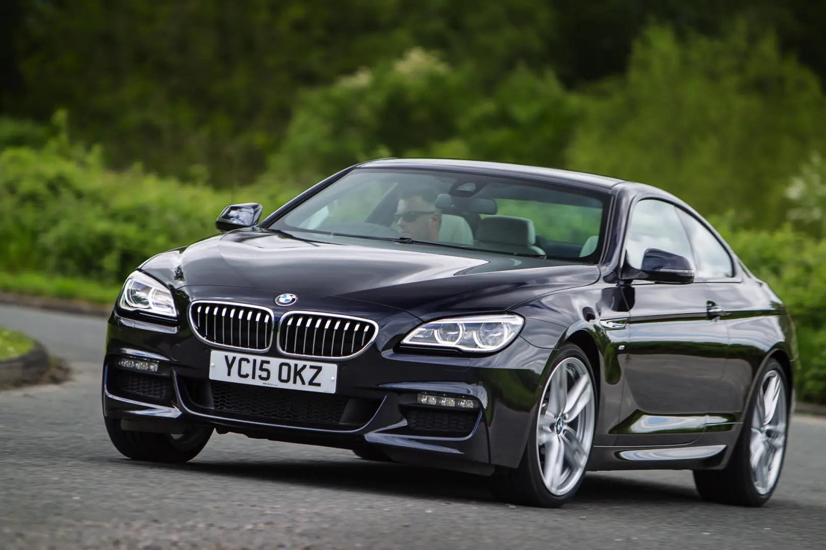 BMW 6 Serisi 6 Serisi 640d xDrive Pure Experience 0