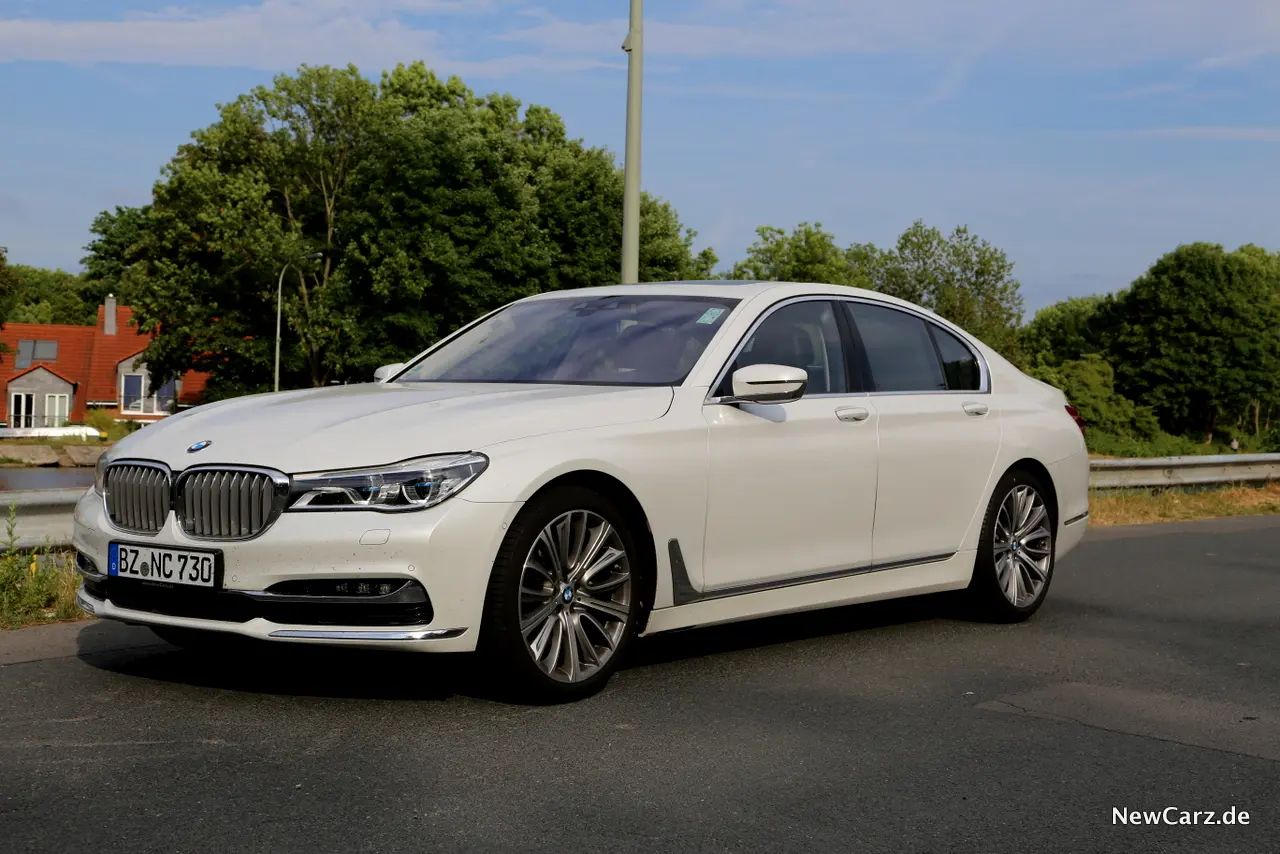 BMW 7 Serisi 7 Serisi 730d xDrive Long Executive Lounge 4