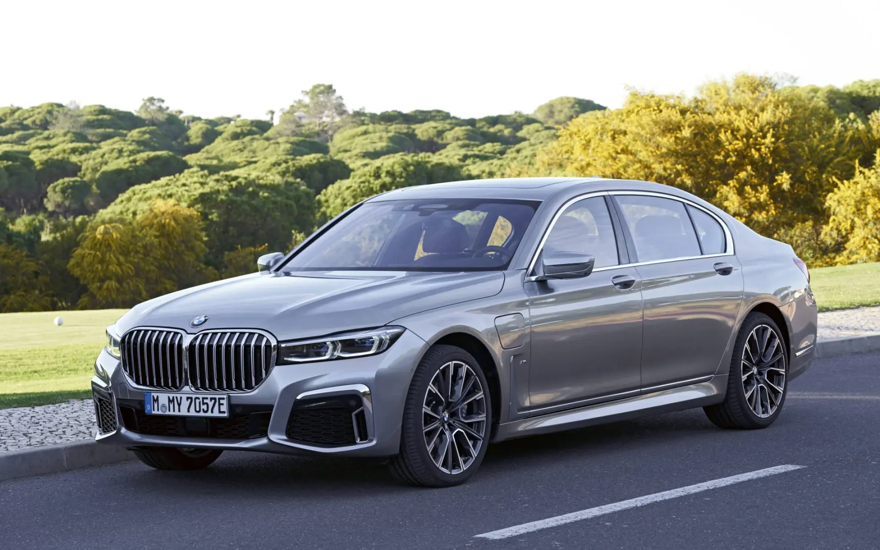 BMW 7 Serisi 7 Serisi 730i M Excellence 1