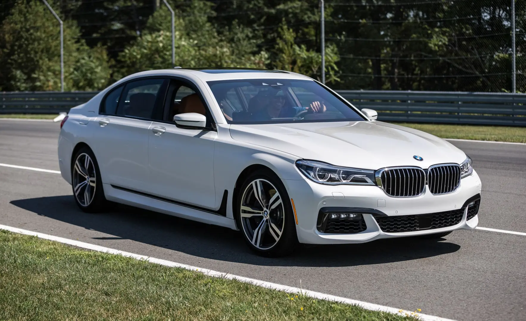 BMW 7 Serisi 7 Serisi 750d xDrive Long Pure 1