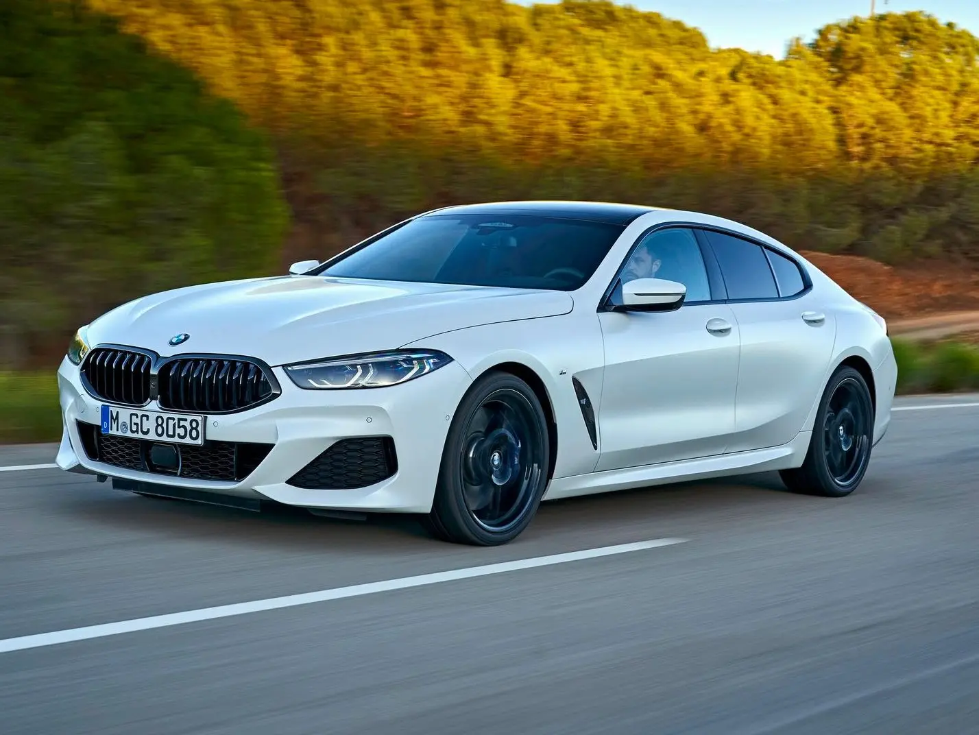 BMW 8 Serisi 8 Serisi 840i xDrive Gran Coupe M Sport 3