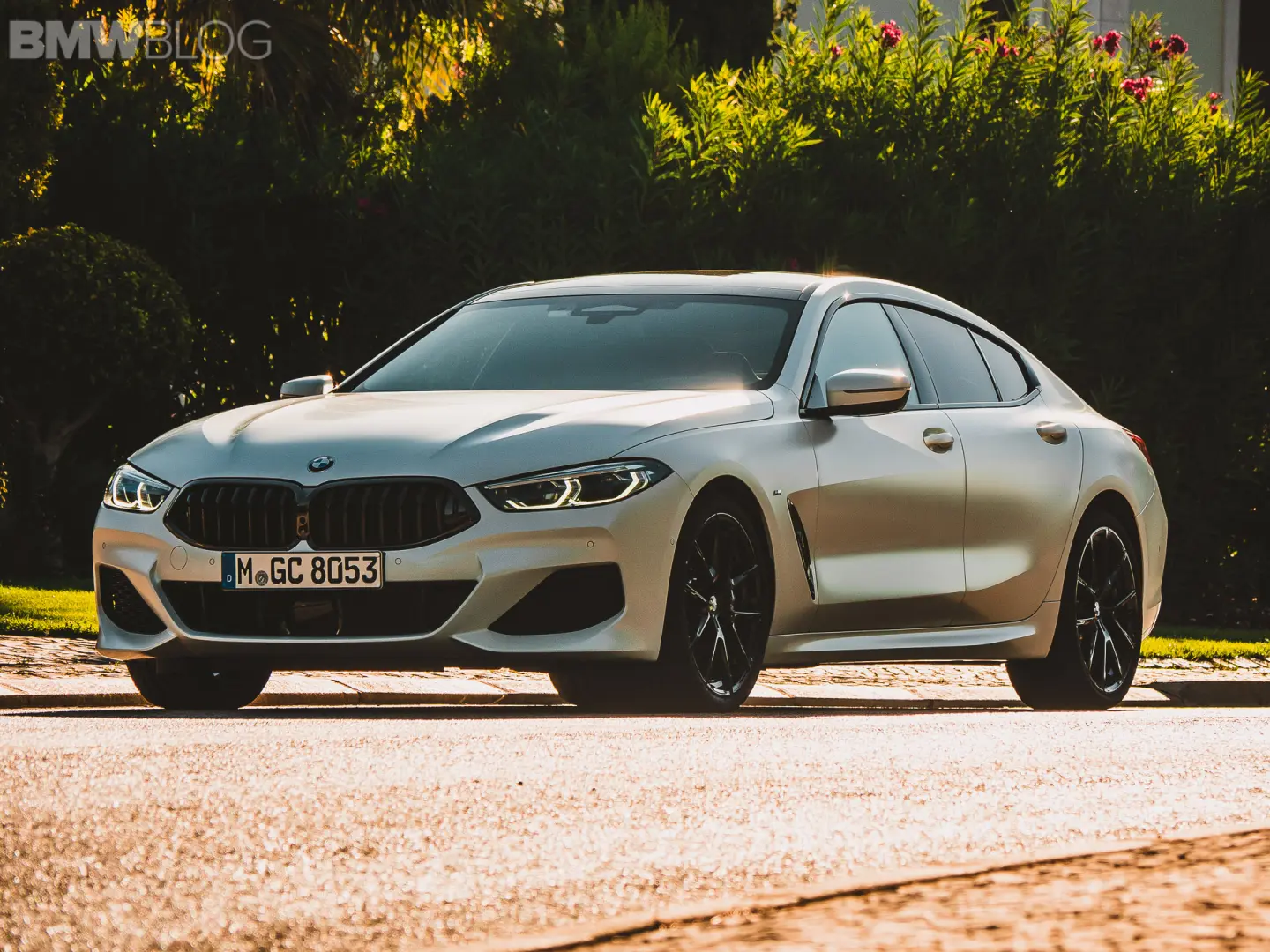 BMW 8 Serisi 8 Serisi Gran Coupe 840i xDrive M Sport 5