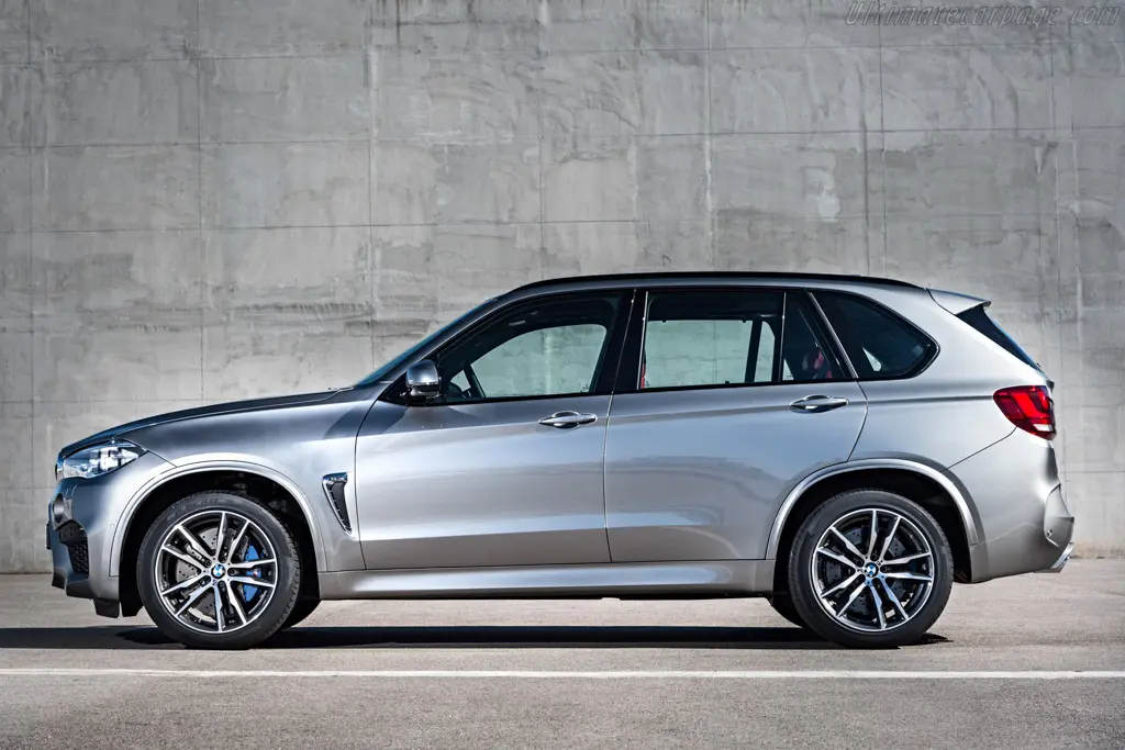 BMW M Serisi M Serisi M X5 Standart 4