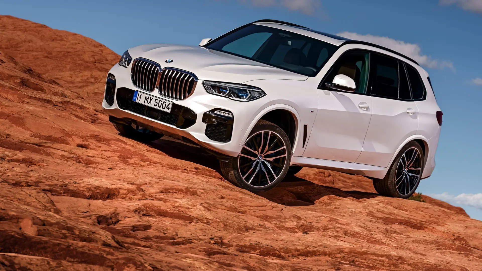 BMW X5 X5 2.5d xDrive Premium Line 5