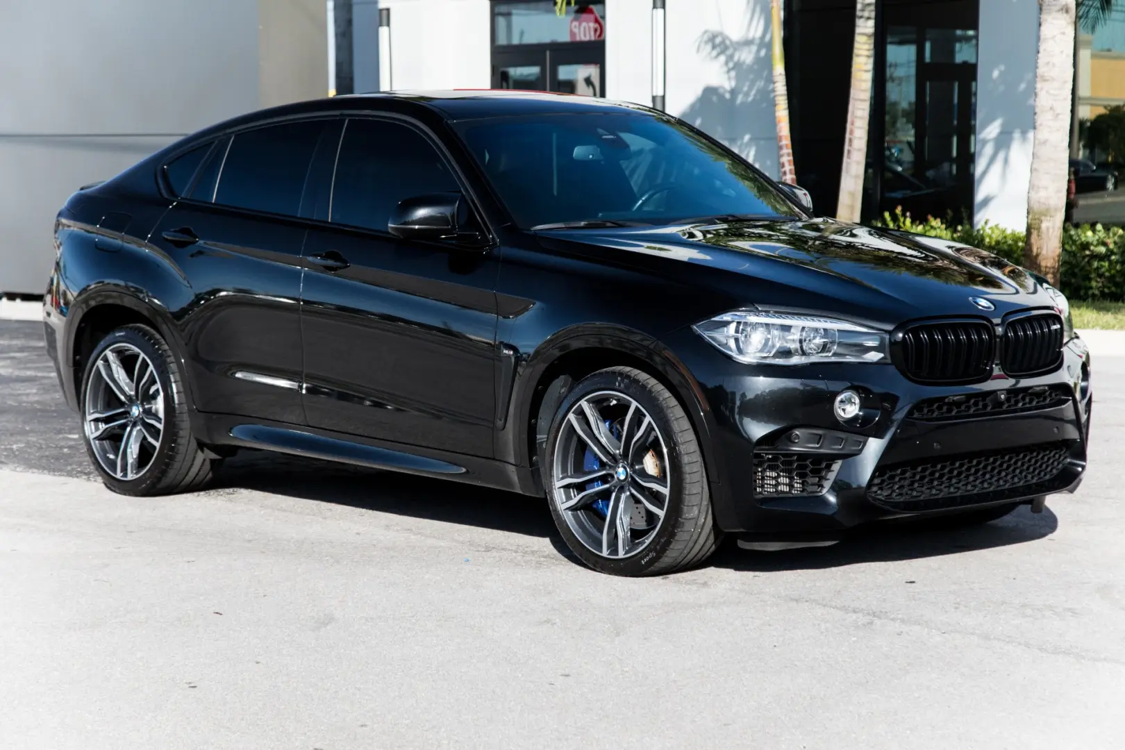 BMW M Serisi M Serisi M X6 xDrive Pure 3