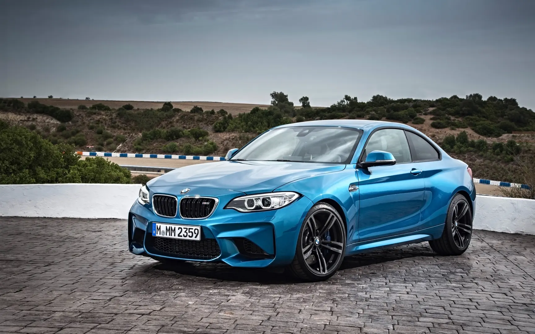 BMW M Serisi M Serisi M2 Pure 2