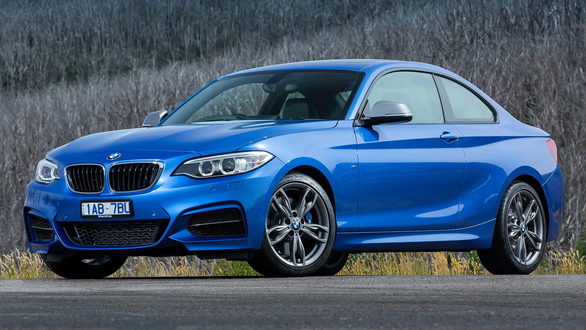 BMW M Serisi M Serisi M235i Standart 4