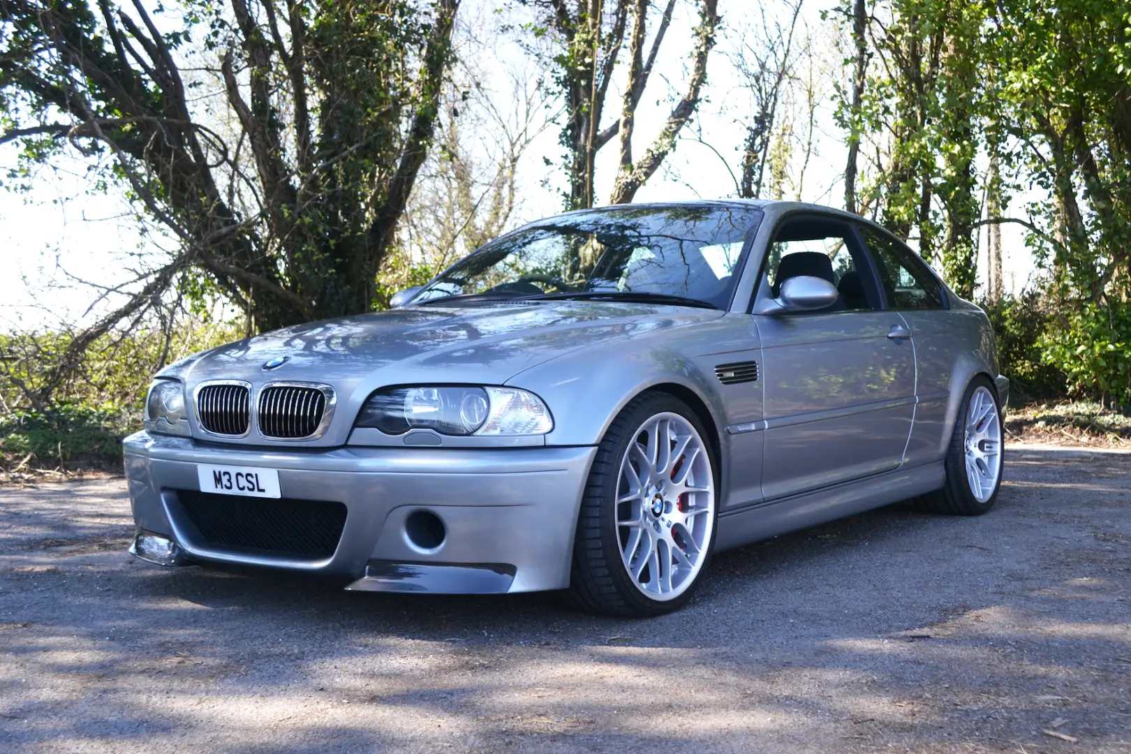 BMW M Serisi M Serisi M3 CSL Standart 3