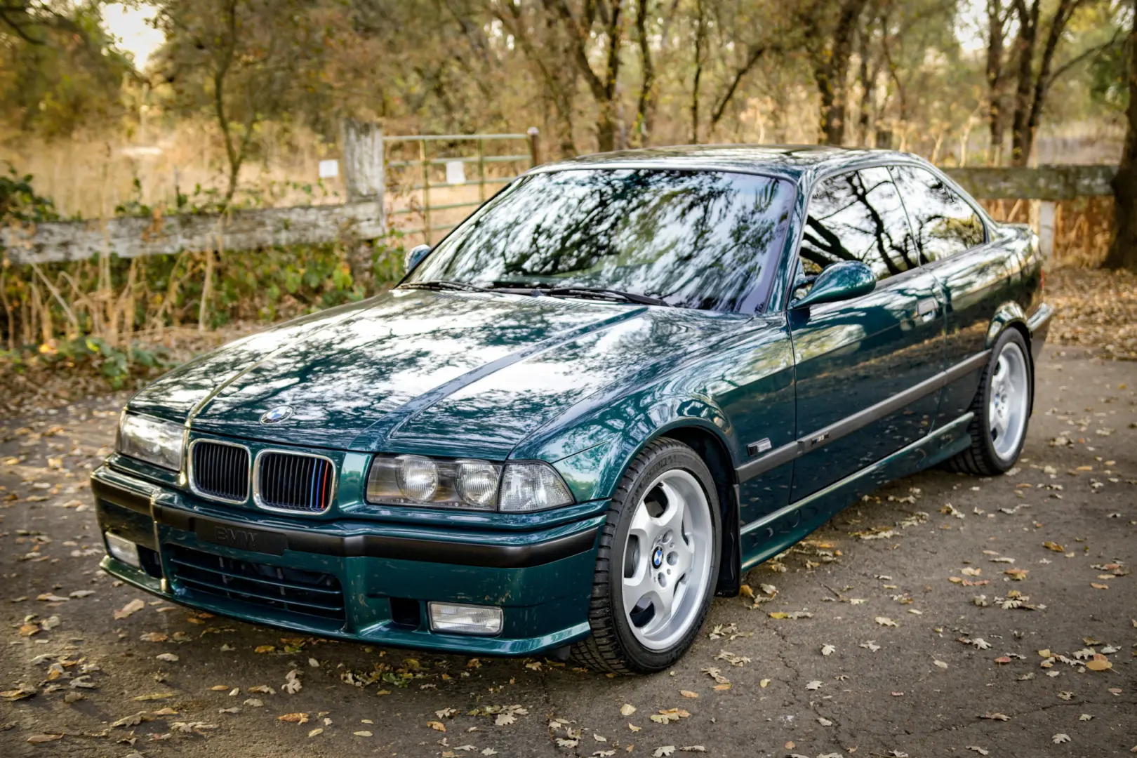 BMW M Serisi M Serisi M3 Standart 1