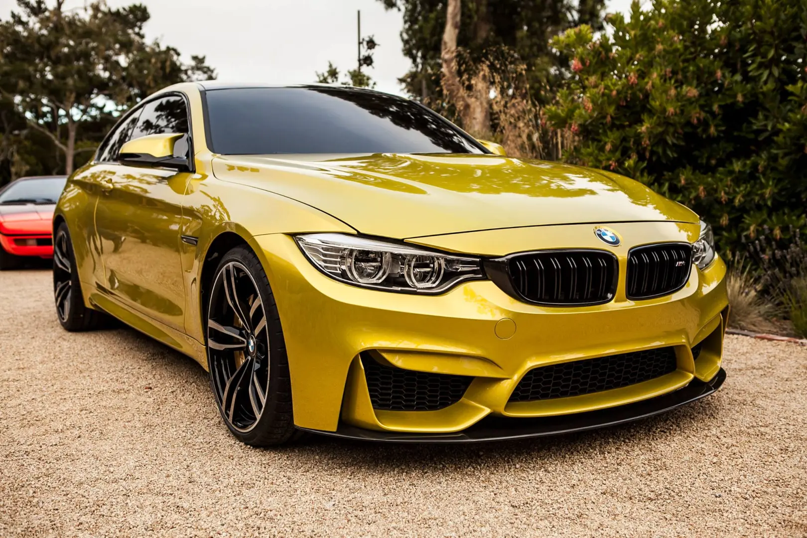 BMW M Serisi M Serisi M4 Pure 5