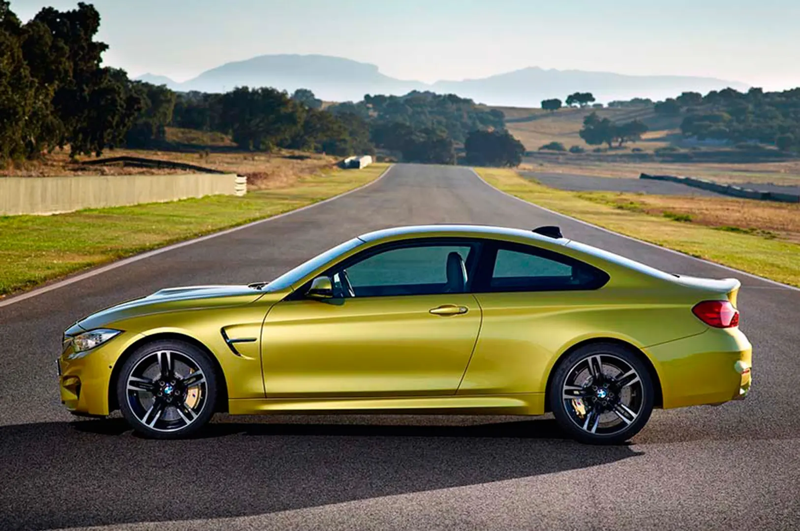 BMW M Serisi M Serisi M4 Pure 6