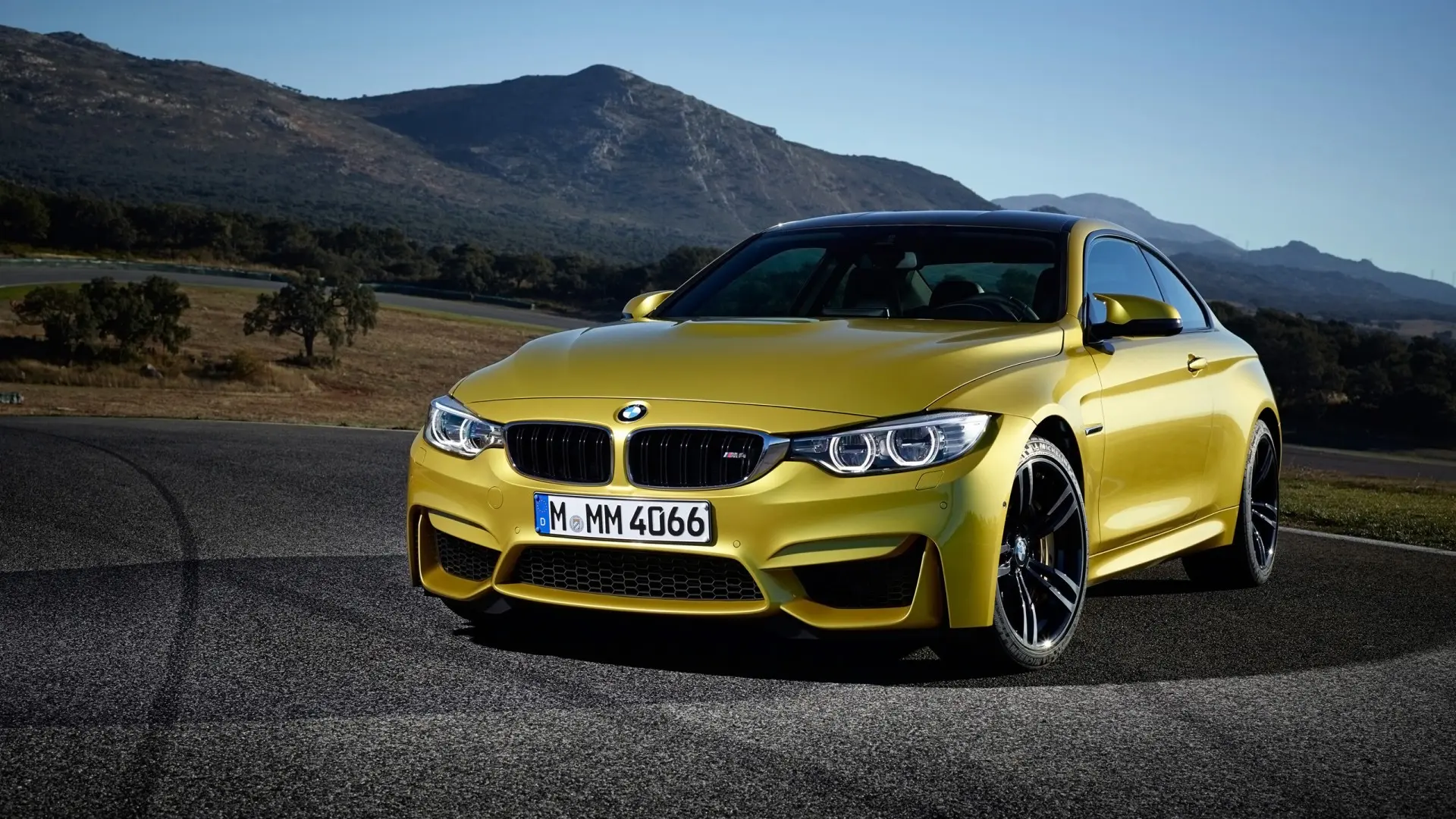 BMW M Serisi M Serisi M4 Pure 4