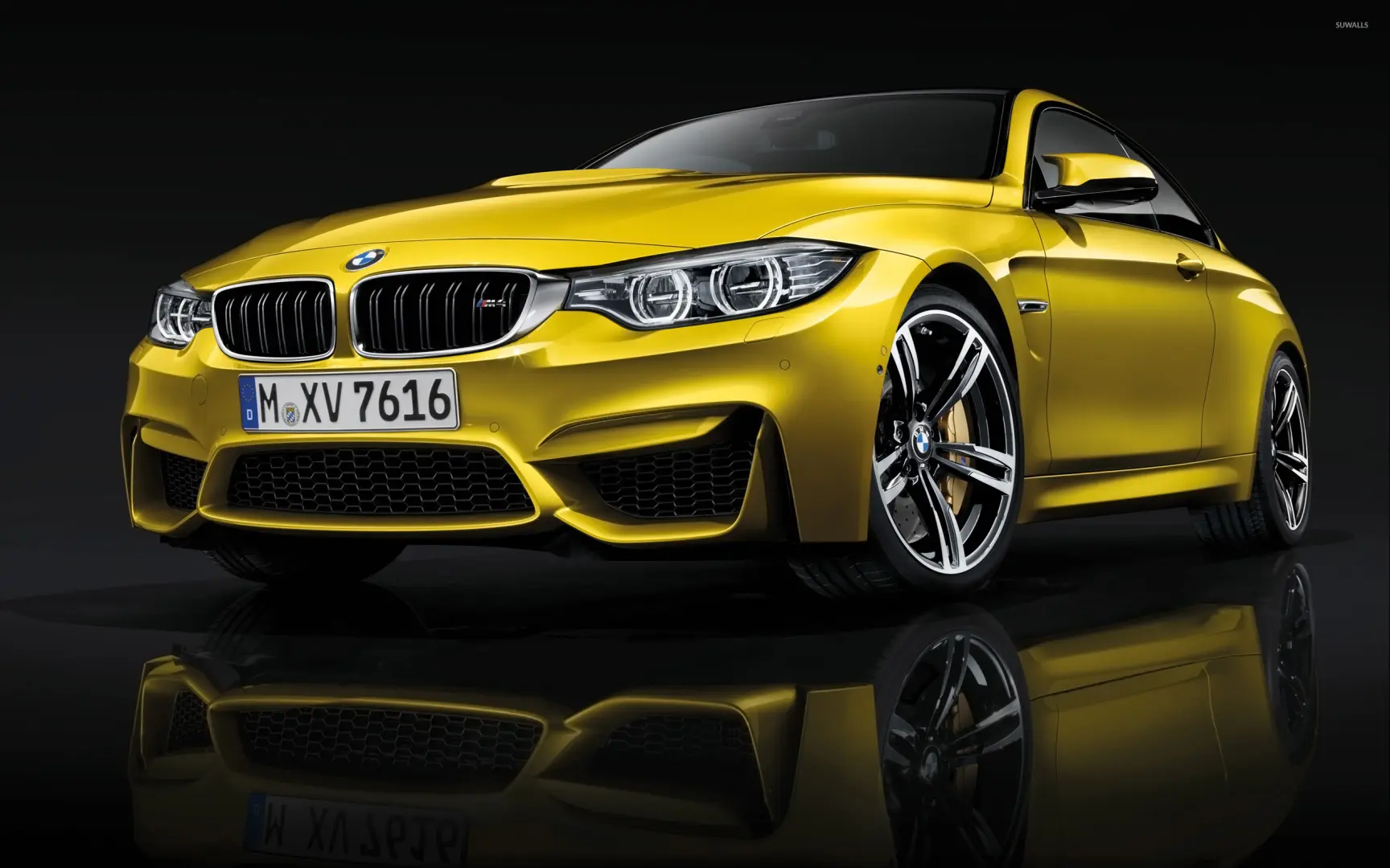 BMW M Serisi M Serisi M4 Pure 5