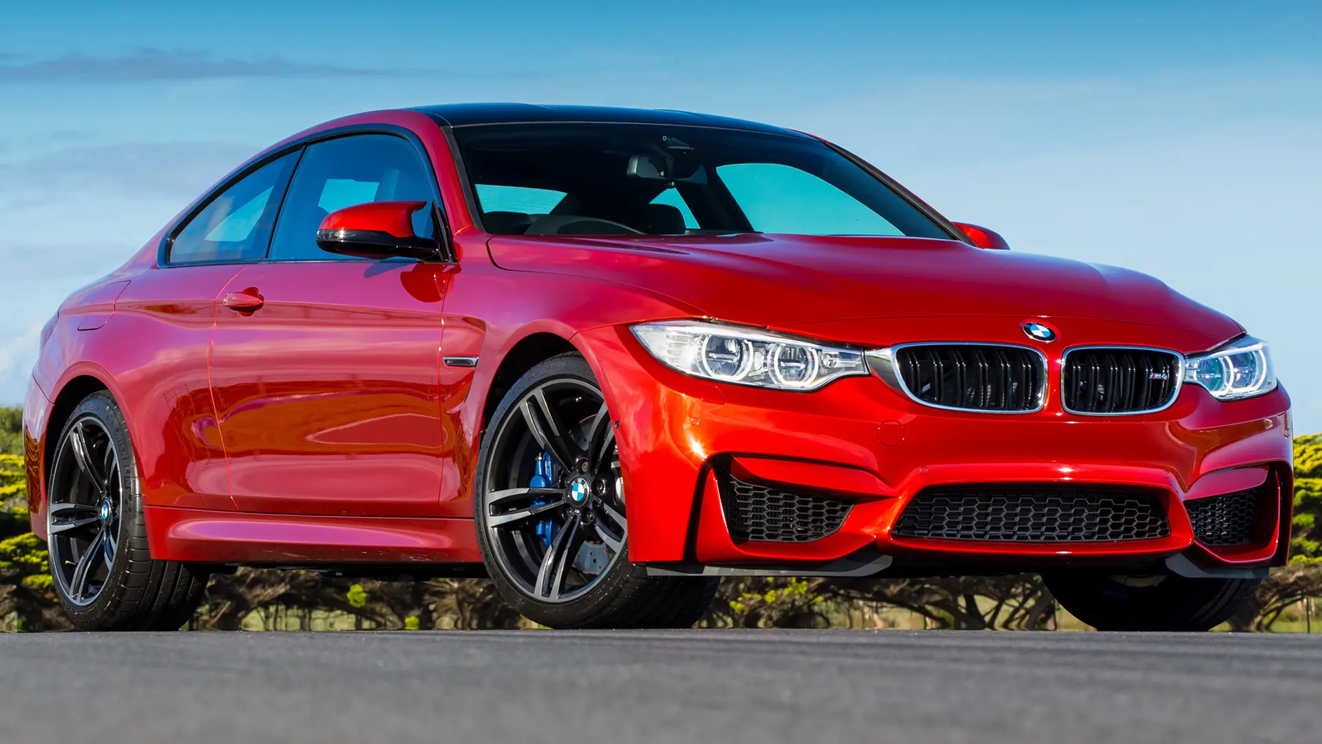 BMW M Serisi M Serisi M4 Pure 6
