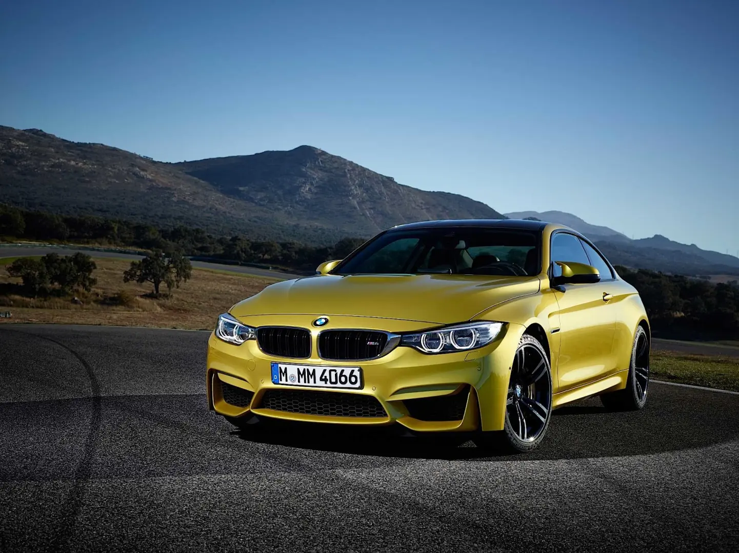 BMW M Serisi M Serisi M4 Standart 4