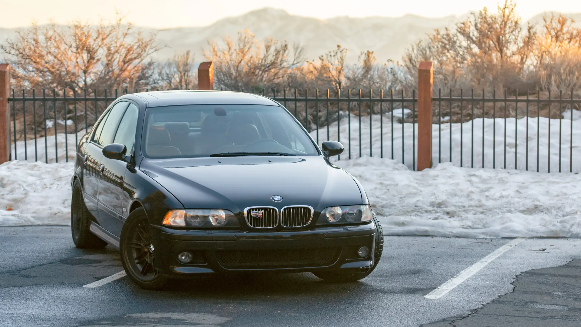 BMW M Serisi M Serisi M5 Standart 5
