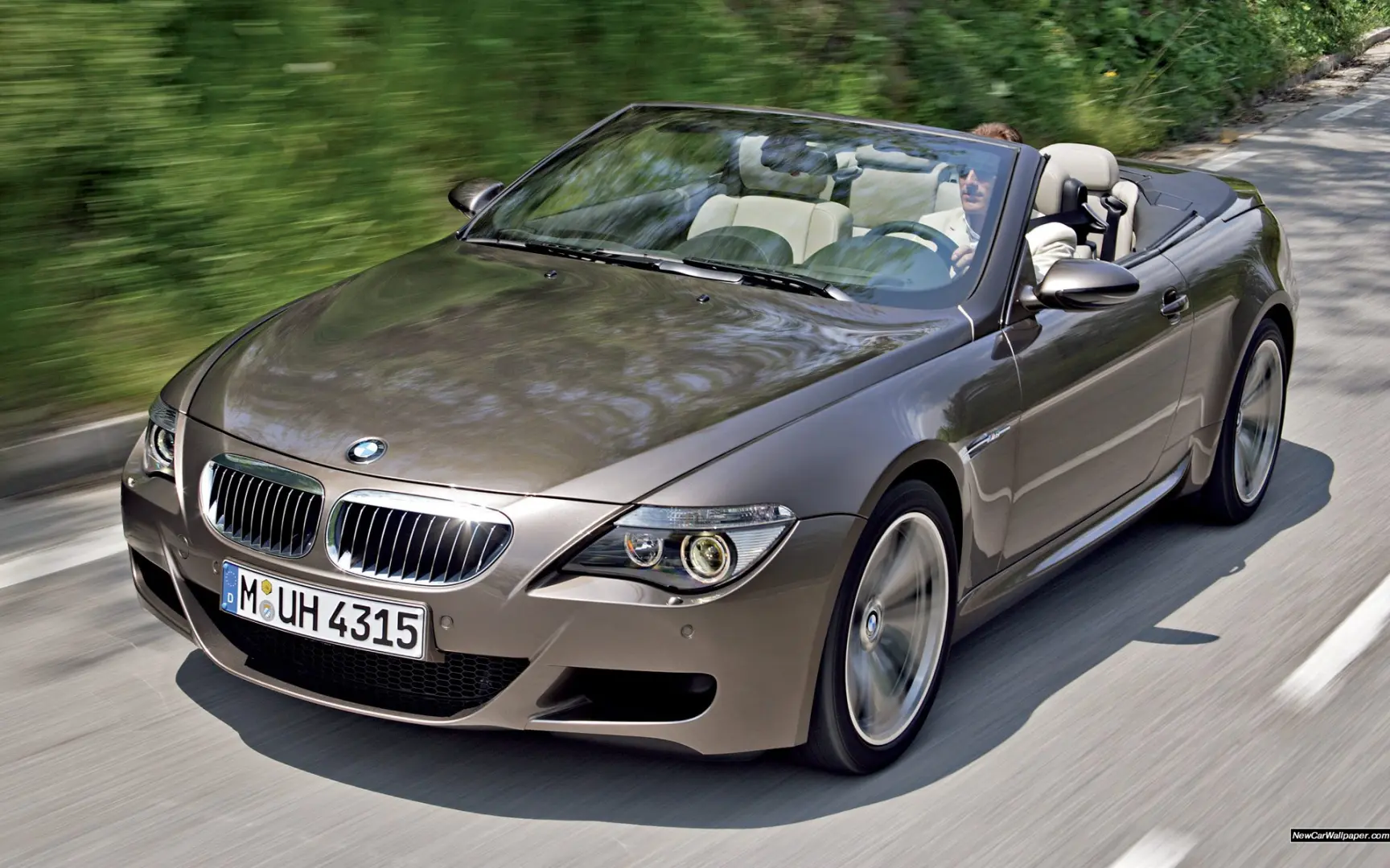 BMW M Serisi M Serisi M6 Pure 5