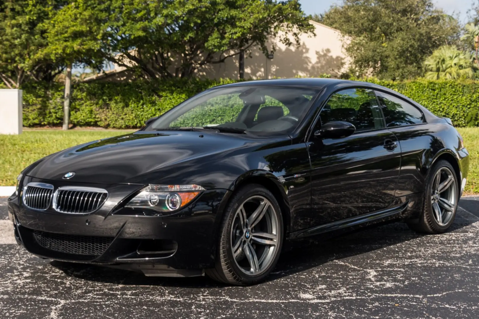 BMW M Serisi M Serisi M6 Standart 1