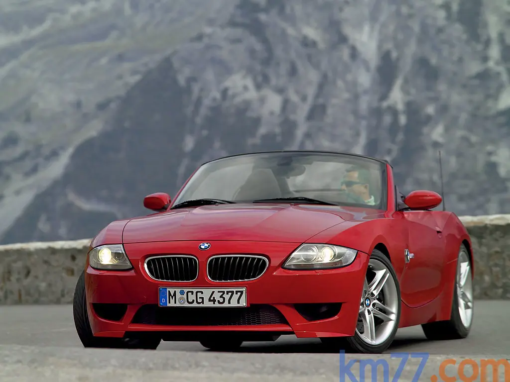 BMW M Serisi M Serisi Roadster M Z4 Standart 5