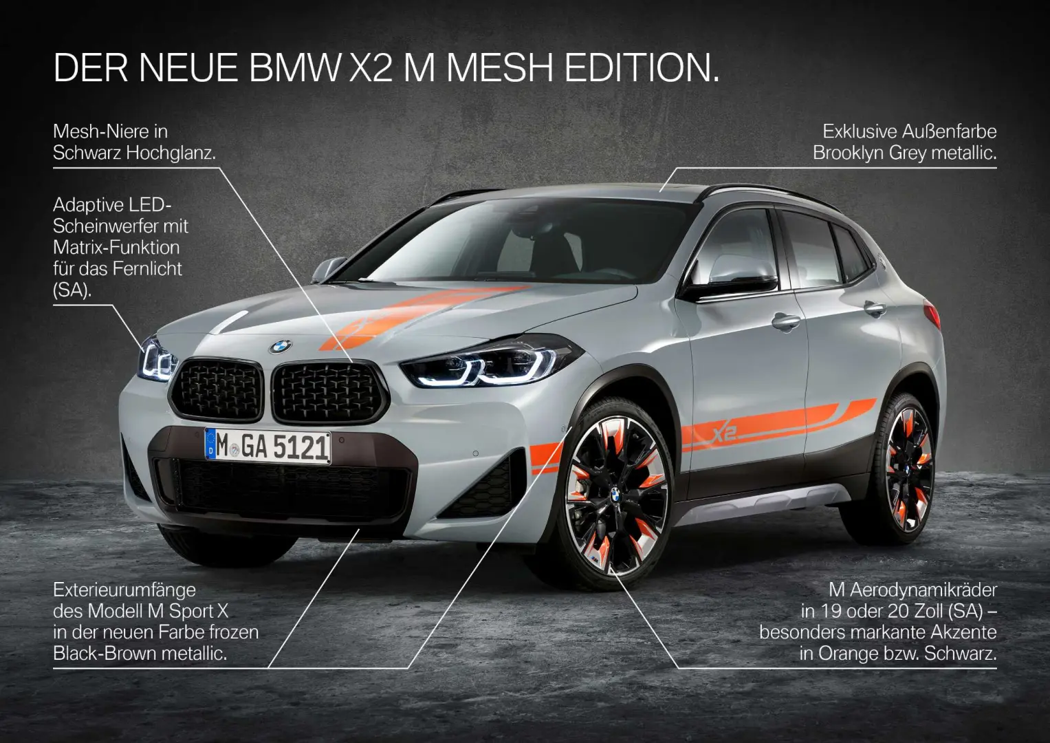 BMW X2 X2 1.6d sDrive Edition M Mesh 2