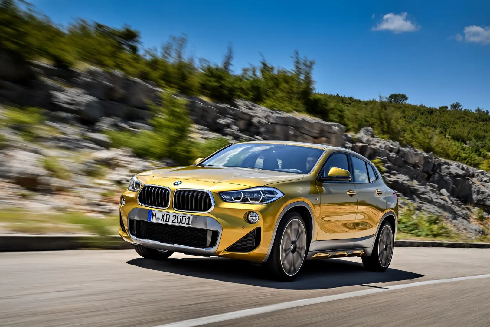 BMW X2 X2 1.6d sDrive Special Edition M Sport X 5