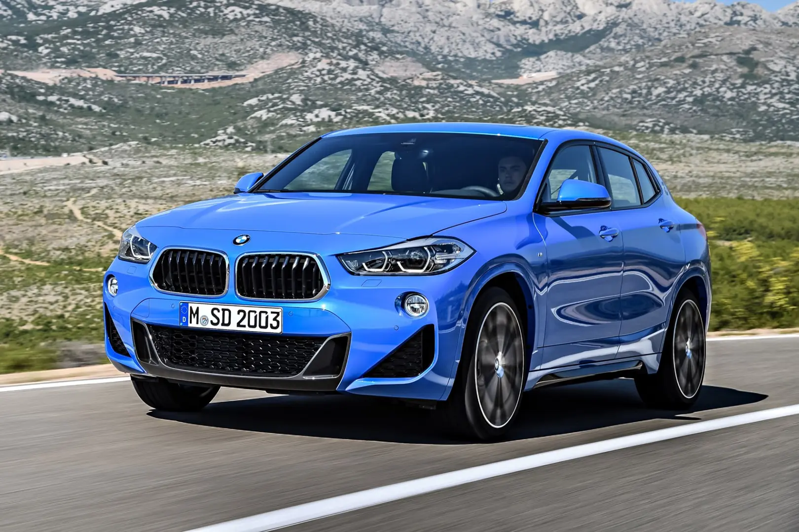 BMW X2 X2 2.0d xDrive Standart 0