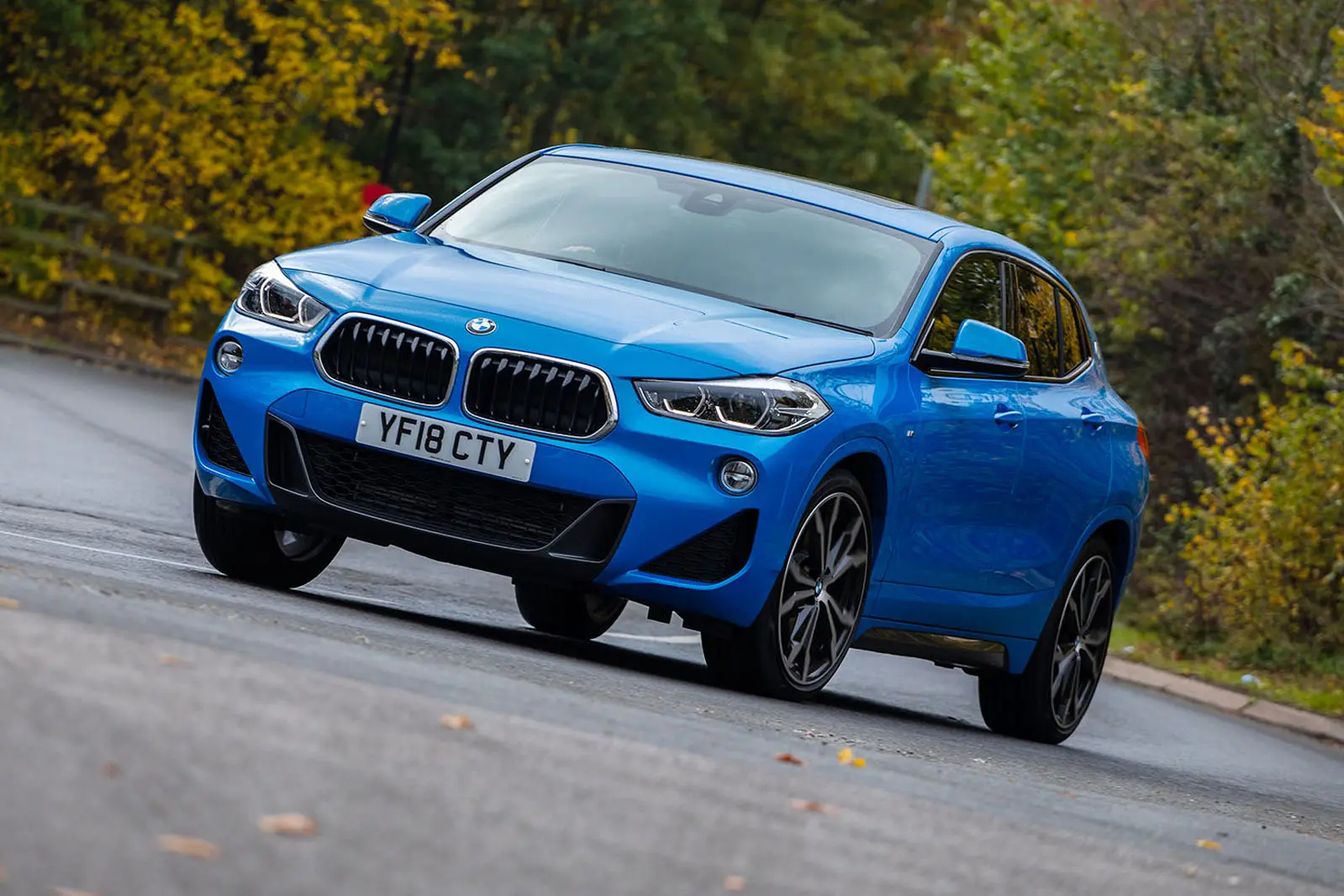BMW X2 X2 1.8i sDrive Premium Line 2