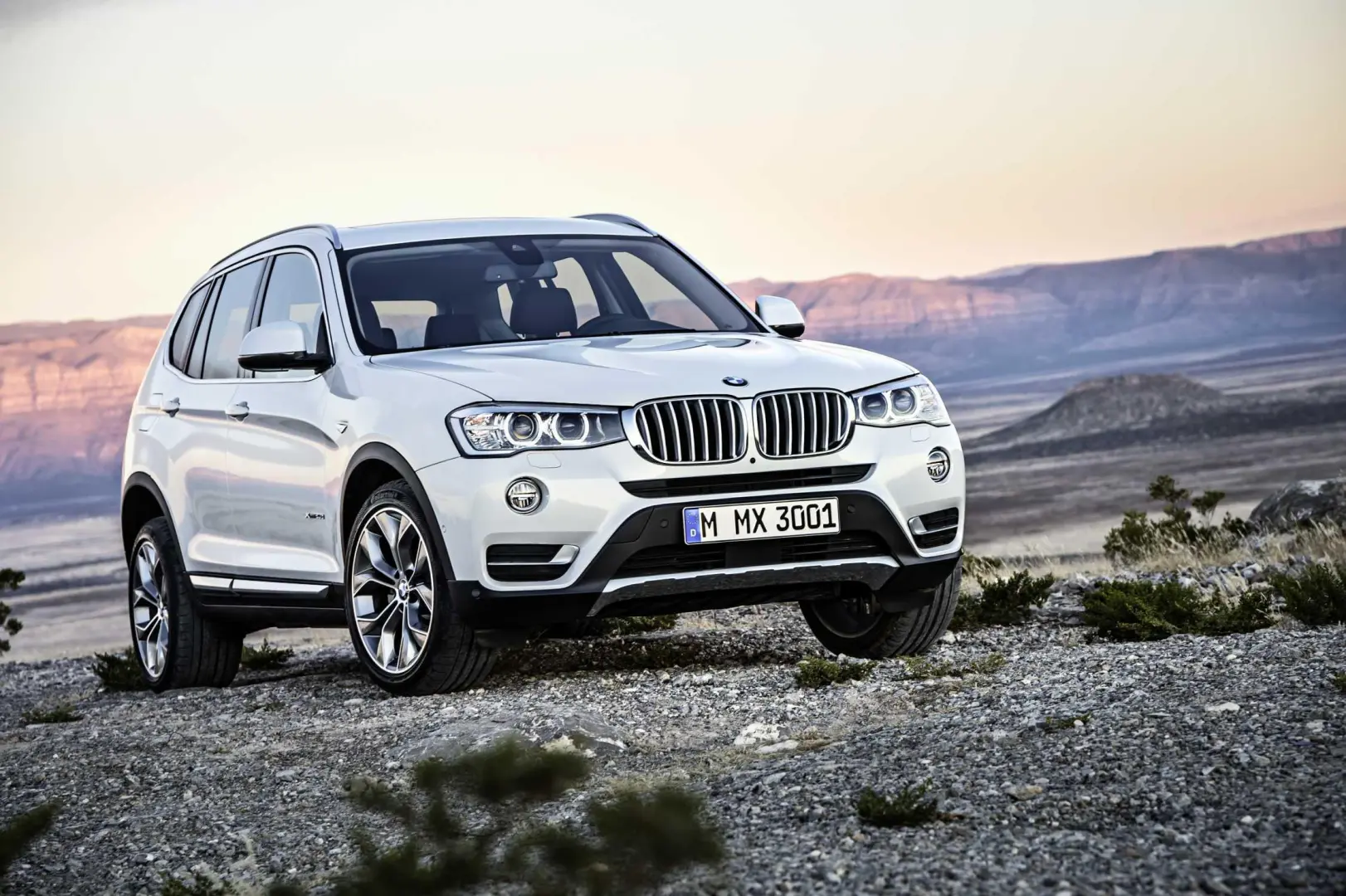BMW X3 X3 2.0d xDrive Joy 6