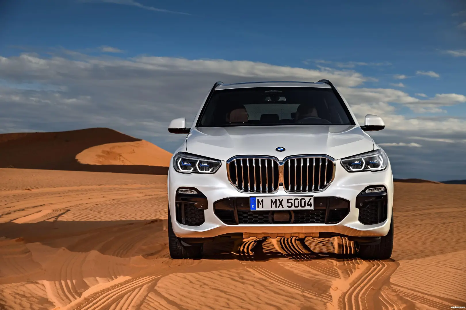 BMW X5 X5 2.5d xDrive Excellence 4