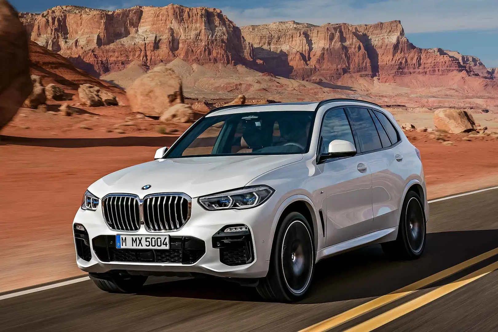 BMW X5 X5 2.5d xDrive Excellence 0