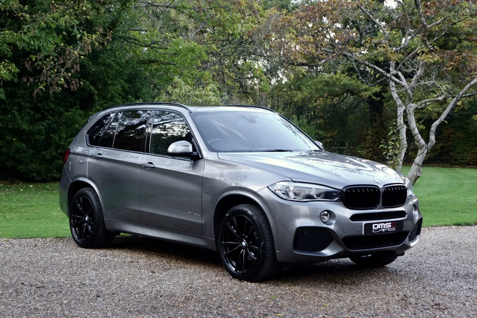 BMW X5 X5 2.5d xDrive M Sport 5